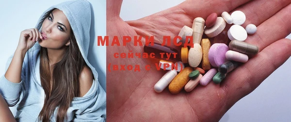 прущие грибы Михайловск