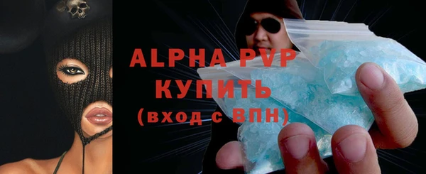 прущие грибы Михайловск
