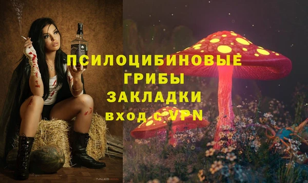 дживик Аксай