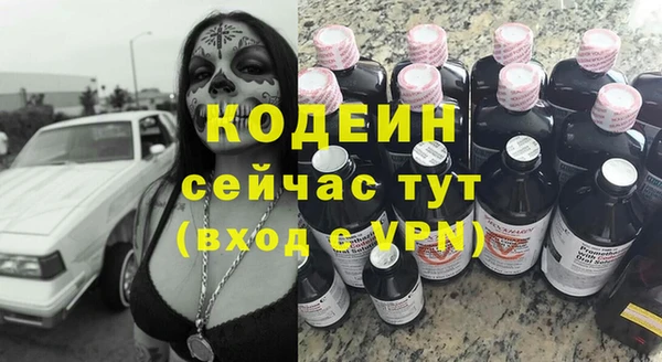 прущие грибы Михайловск