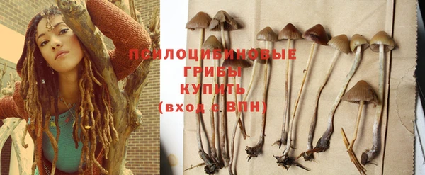 гашик Алапаевск