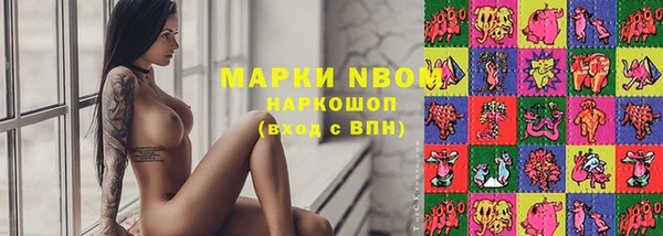 прущие грибы Михайловск