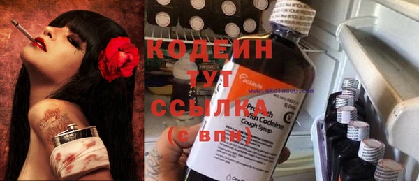 гашик Алапаевск
